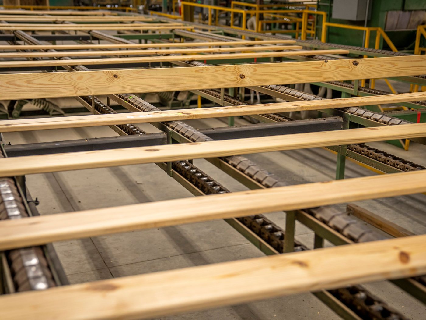 Timber running through the sawmill line